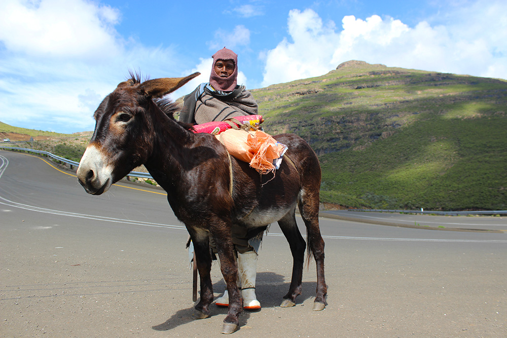 Vat increase tour Lesotho 4
