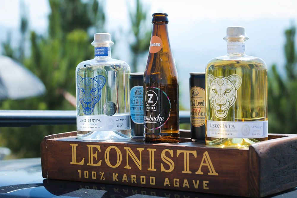 rehydrating on Zooka Kombucha
